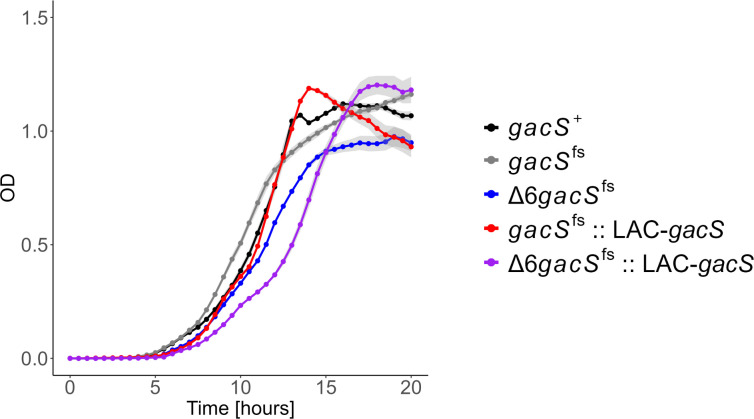 Functional interplay between RND efflux pumps and GacS in <i>Pseudomonas aeruginosa</i>.