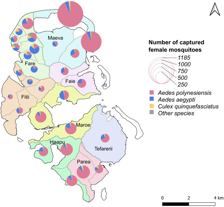 Detection of potential transmission foci of lymphatic filariasis using molecular xenomonitoring in Huahine, French Polynesia.
