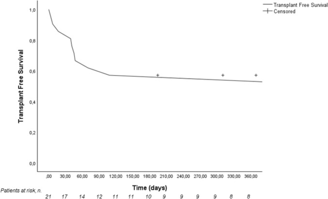 At the earliest: a Hub and Spoke referral and referral-back pilot project increases access to liver transplantation and ensures good long-term care.