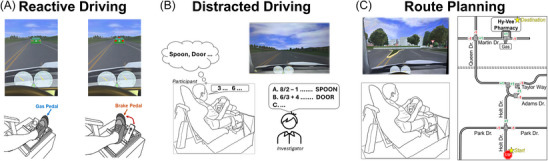 Predicting cognitive status in stroke survivors from driving performance.
