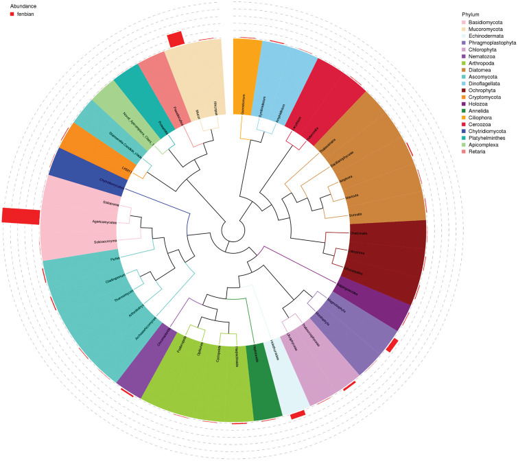 <i>Cryptosporidium</i> spp. infection occurring in patients with recurrent pancreatitis and primary Sjögren's syndrome: A case report.