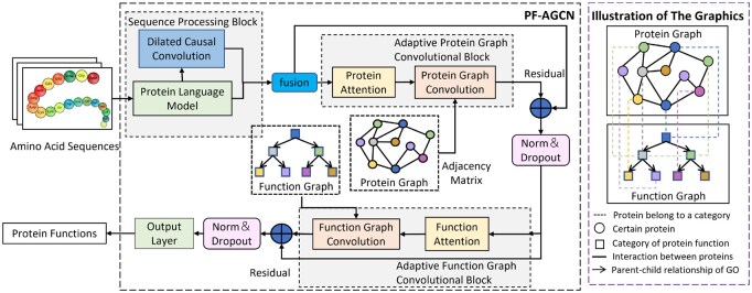 PF-AGCN: an adaptive graph convolutional network for protein-protein interaction-based function prediction.