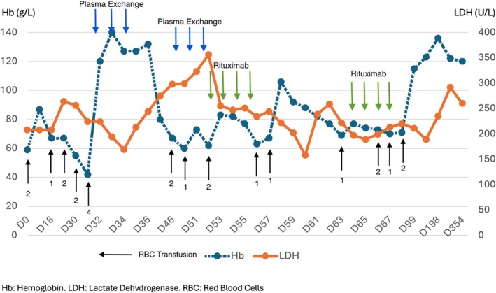 Rare case of warm IgM autoimmune hemolytic anemia.