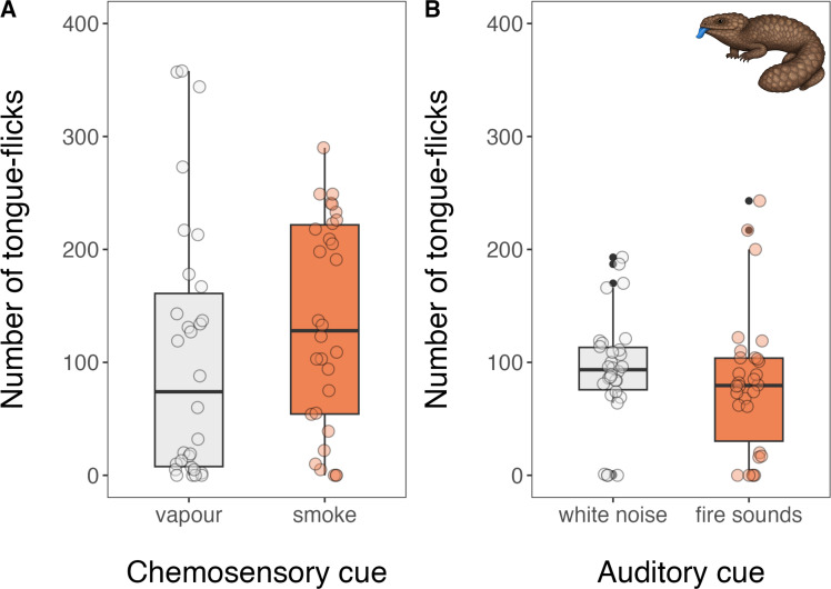 From anecdote to evidence: experimental validation of fire-cue recognition in Australian sleepy lizards.