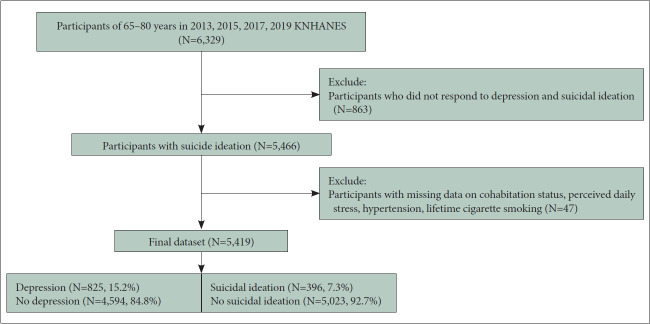 Contribution of Chronic Disease in Predicting Depression and Suicidal Ideation Among the Older Adult Population.