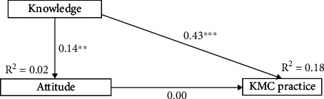 Predictors of Knowledge, Attitude, and Practice of Kangaroo Mother Care Among Mothers in a Ghanaian Tertiary Care Center.