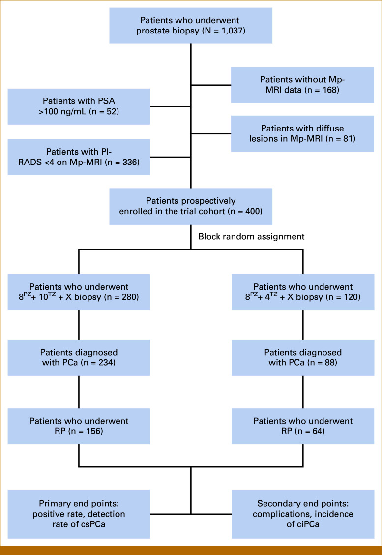 Optimized Biopsy Strategy for Transition Zone Prostate Cancer With Enhanced Perilesional Sampling: A Retrospective Analysis and Clinical Trial Validation.