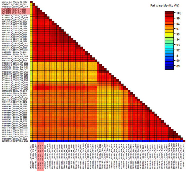 Longitudinal observation of chronic domestic cat hepadnavirus infection in cats with evidence of extrahepatic involvement.