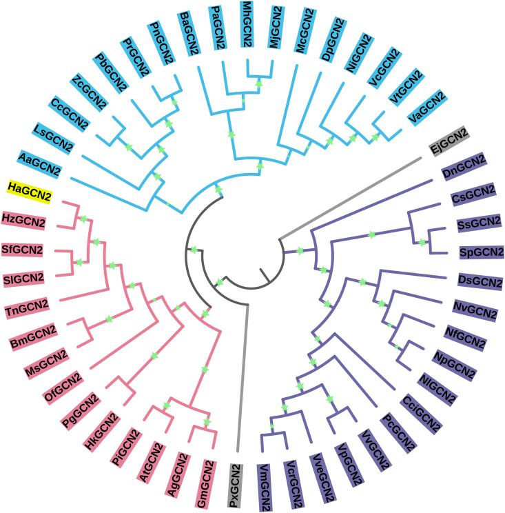 The interaction between GCN2 and eIF2 mediates the resistance of cotton bollworm to the Bacillus thuringiensis Cry1Ac toxin.
