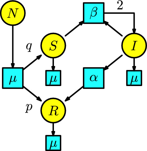 Petri nets in epidemiology.