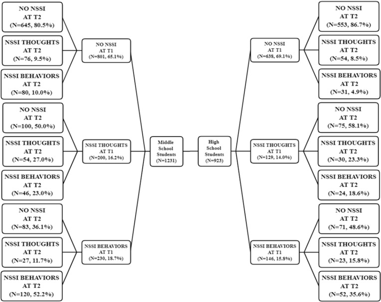 From Thoughts to Actions: A Longitudinal Examination of NSSI Risk Factors in Adolescence.
