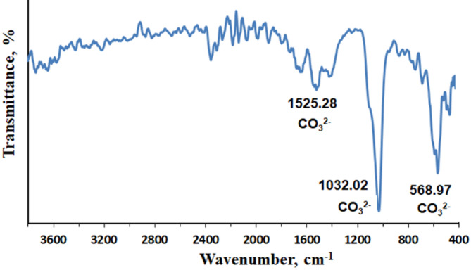 Bio-mineralization process of CaCO<sub>3</sub> induced by bacteria isolated from Egypt for sustainable bio-concrete.
