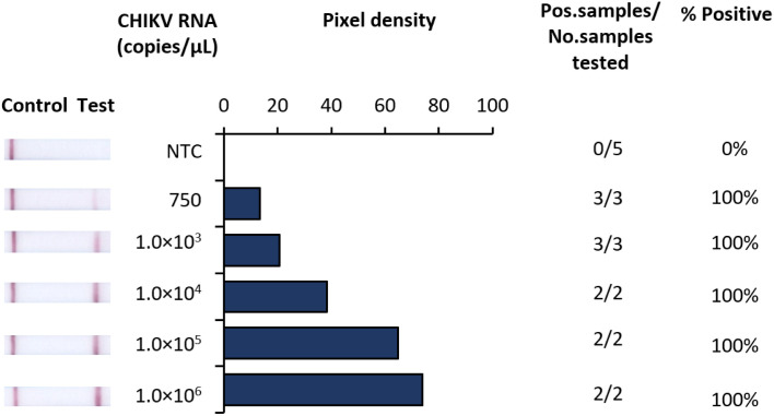 Development and proof-of-concept evaluation for a low resource compatible Chikungunya virus diagnostic.