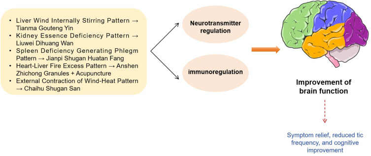 Traditional Chinese Medicine in the Comprehensive Management of Tourette Syndrome: Insights from Genetics and Pathophysiology: A Review.