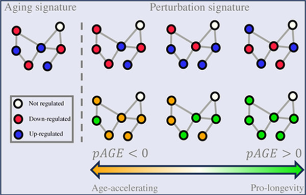 Network-driven discovery of repurposable drugs targeting hallmarks of aging.