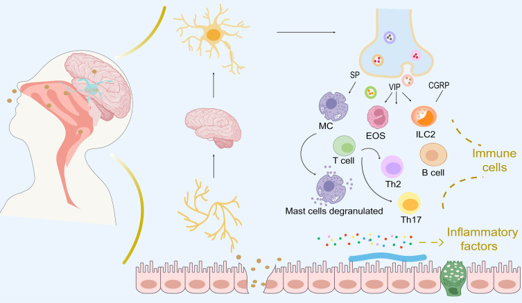 Potential Mechanisms of Traditional Chinese Medicine for the Treatment of Allergic Rhinitis: Evidence from Molecular and Clinical Studies.