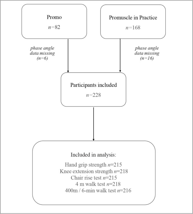 Phase angle is related to physical function in high-risk Dutch older adults: implications for sarcopenia screening.