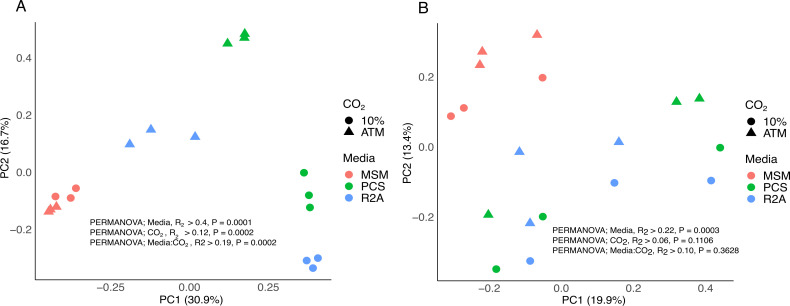 Establishing microbial communities to promote the growth of <i>Pleurotus ostreatus</i> through a top-down approach is hindered by the dominance of antagonistic interactions.