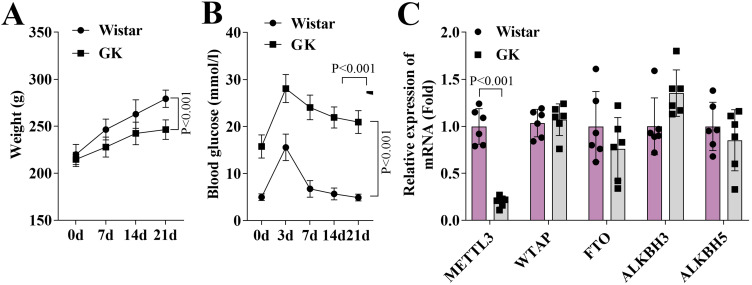 METTL3-Mediated m<sup>6</sup>A Regulation of GDF11 Promotes Socket Healing in Diabetic Rats.