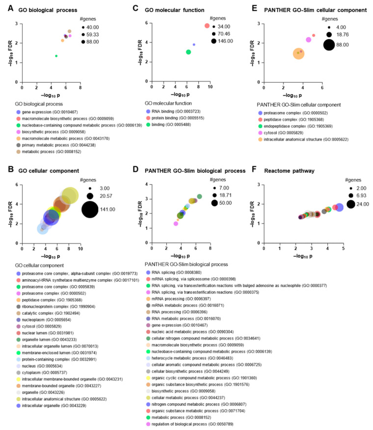 Proteomics of Patient-Derived Striatal Medium Spiny Neurons in Multiple System Atrophy.