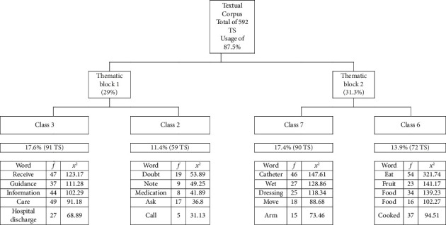 Educational-Care Needs for Hospital-Home Transition of Children With Hematological Cancer.