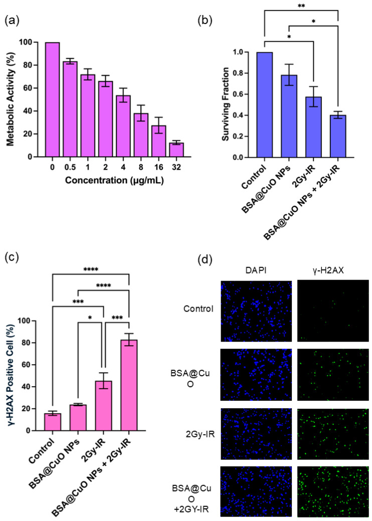 Albumin-Coated Copper Oxide Nanoparticles for Radiosensitization of Human Glioblastoma Cells Under Clinically Relevant X-Ray Irradiation.