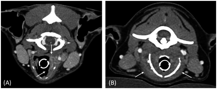 Computed tomographic appearance of laryngeal lesions in 7 dogs.