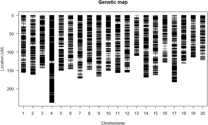 Development of recombinant inbred lines and QTL analysis of plant height and fruit shape-related traits in <i>Cucurbita pepo</i> L.