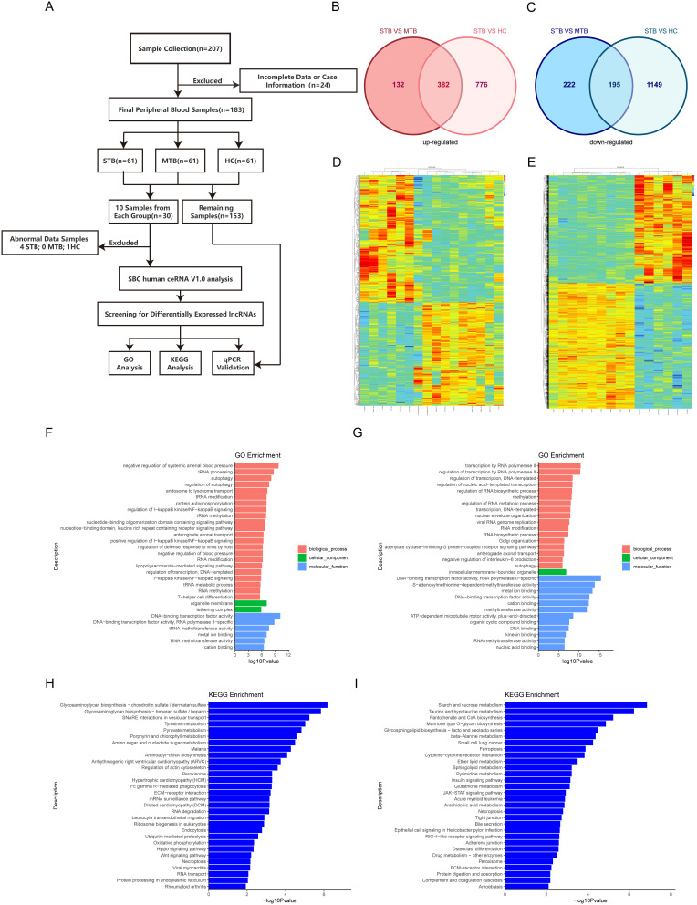 Identification of Specific LncRNA Markers in Severe Tuberculosis for Early Diagnosis.