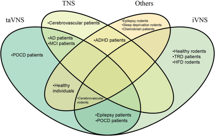 Associations between peripheral nerve stimulation and cognitive performance: insights from healthy individuals and various disease pathologies.