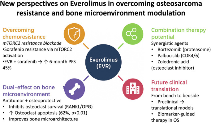 The role of everolimus in malignant bone tumor therapy: Molecular mechanisms, preclinical evidence, and advances in clinical applications.