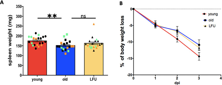 Low-frequency ultrasound treatment reduces susceptibility to <i>Salmonella</i> infection in aged mice.