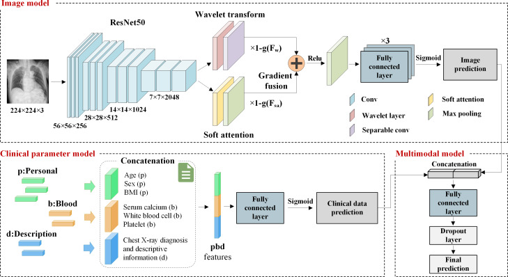 Fusion of X-Ray Images and Clinical Data for a Multimodal Deep Learning Prediction Model of Osteoporosis: Algorithm Development and Validation Study.