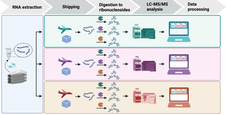 Toward standardized epitranscriptome analytics: an inter-laboratory comparison of mass spectrometric detection and quantification of modified ribonucleosides in human RNA.