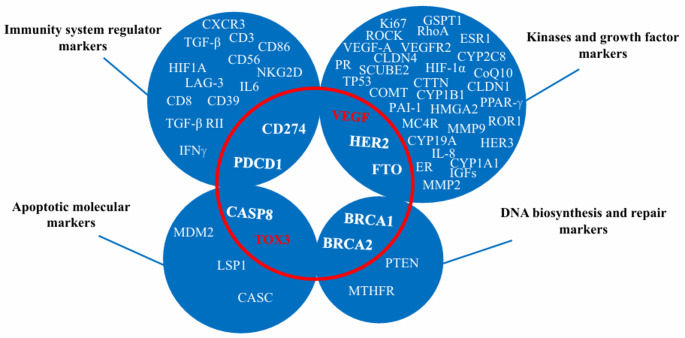 Molecular signatures of breast cancer in the Iranian population: a review of cell growth and cell cycle regulators.