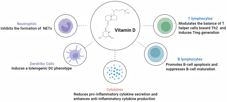 Exploring the Interaction Between Sjögren's Syndrome and Osteoporosis: Pathophysiological Mechanisms and Management Strategies.