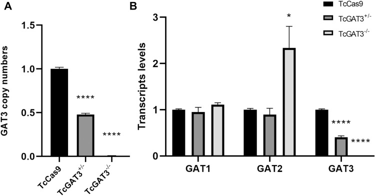 Glycosomal ABC transporter 3 (GAT3) deletion enhances the oxidative stress responses and reduces the infectivity of Trypanosoma cruzi.