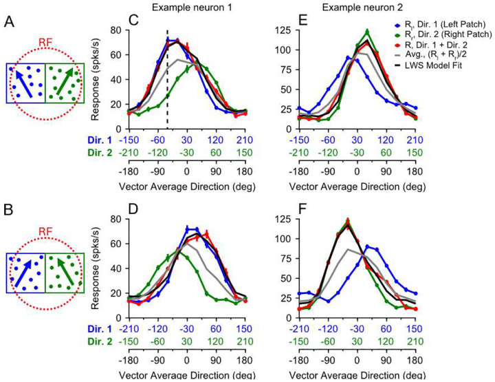 Mechanisms of Neural Representation and Segregation of Multiple Spatially Separated Visual Stimuli.