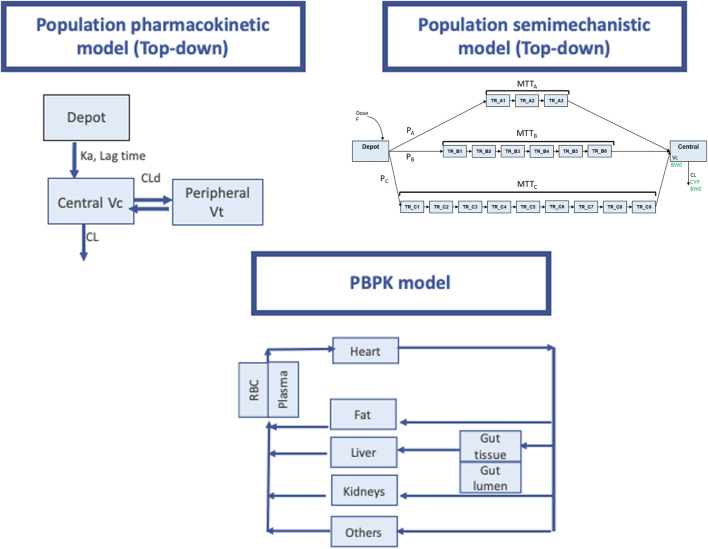 State of Art of Dose Individualization to Support tacrolimus drug monitoring: What's Next?