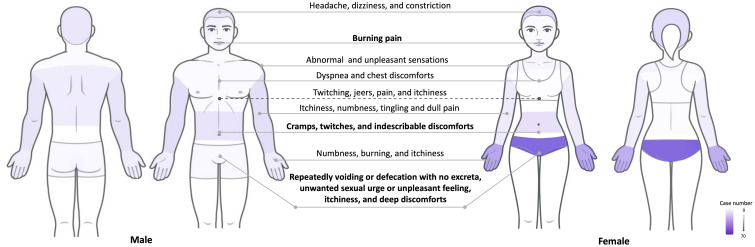 Case Series and Literature Review on Phenotypic Variants of Restless Legs Syndrome (RLS): A Unique Phase of Typical RLS?