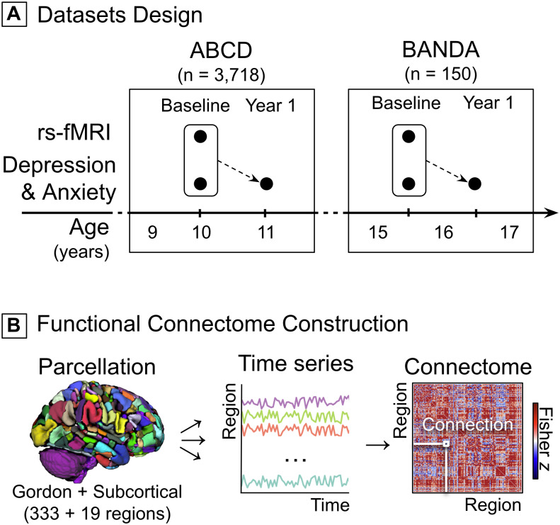 Brain functional connectivity predicts depression and anxiety during childhood and adolescence: A connectome-based predictive modeling approach.