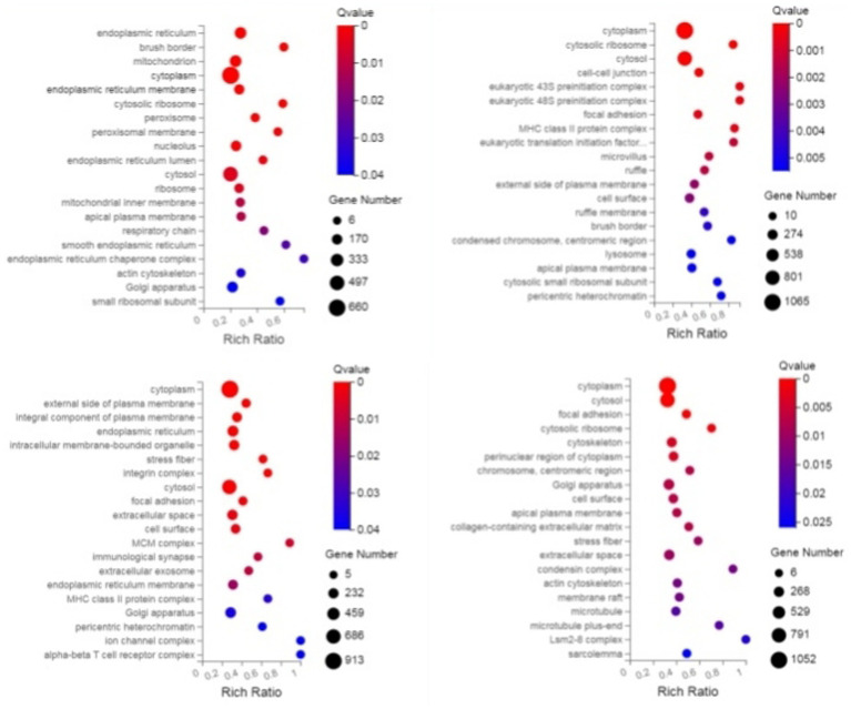 Acquired immunity mechanisms in sheep infected with <i>Nematodirus oiratianus</i>: key genes and host responses.