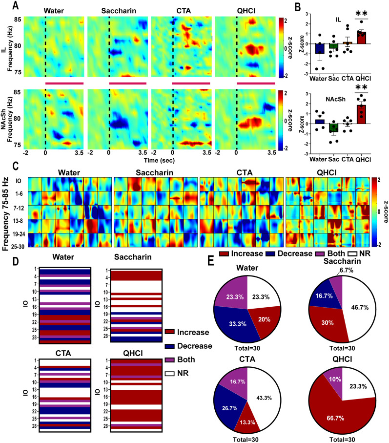 High Gamma Activity in the Infralimbic Cortex to Nucleus Accumbens Shell Pathway Modulates Innate Aversion Differentially across Sex.