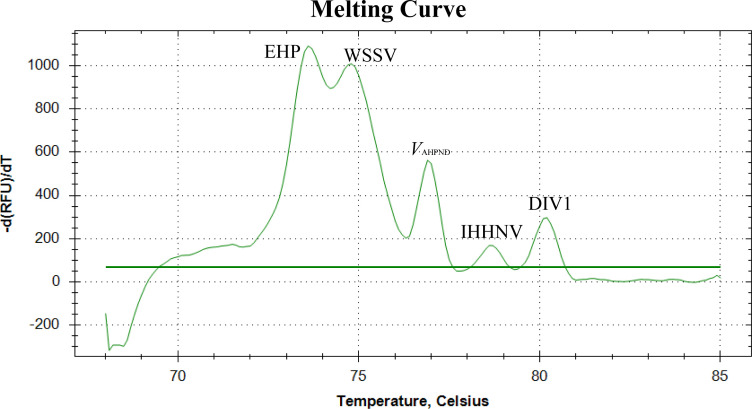 Simultaneous detection of five shrimp pathogens using a single-tube EvaGreen real-time PCR assay with differential melting temperature.