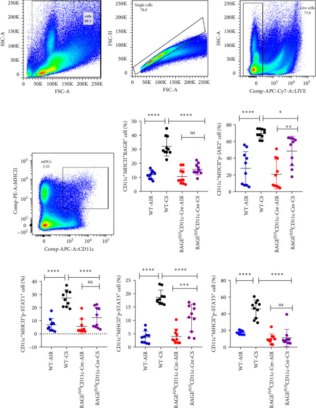 Activation of Myeloid Dendritic Cells by Up-Regulating RAGE/JAK/STAT Pathway Induced by Cigarette Smoke Exposure in Mice With Emphysema.