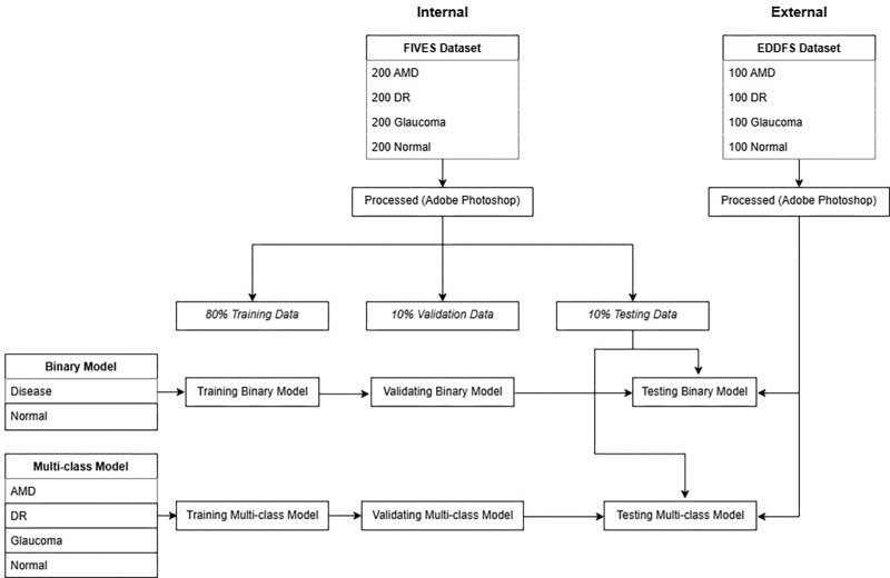 Code-Free Machine Learning for the Detection of Common Ophthalmic Diseases.