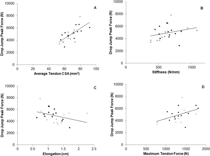 Gastrocnemius medialis tendon properties do not differ between male academy soccer players and control participants but are related to jump performance.