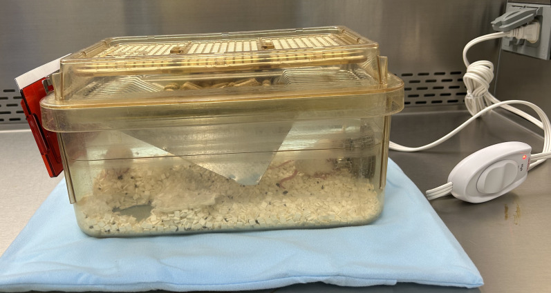NanoPDLIM2-Based Combination Therapy for Lung Cancer Treatment in Mouse Preclinical Studies.