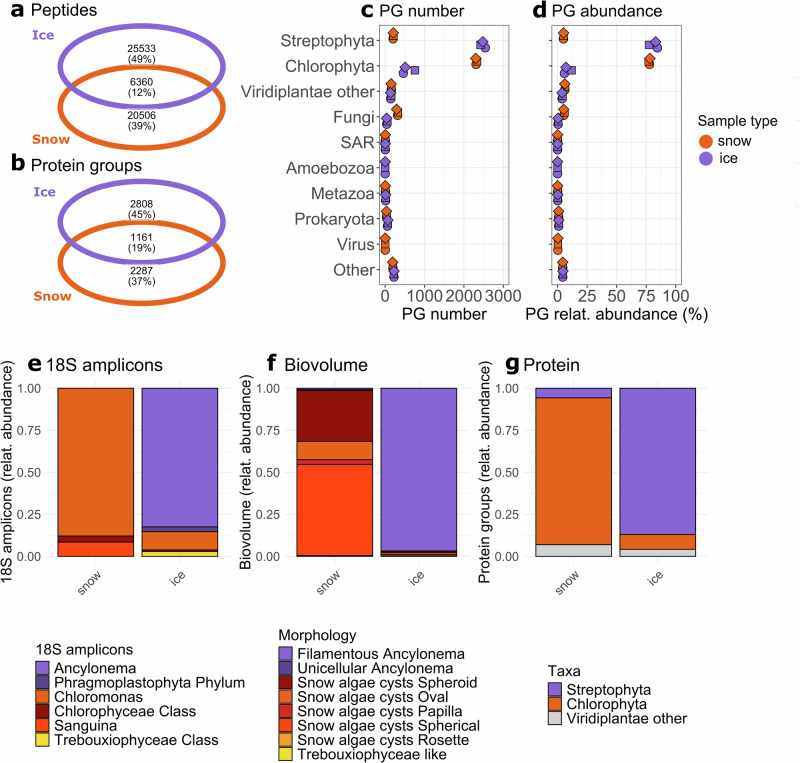 Algae-dominated metaproteomes uncover cellular adaptations to life on the Greenland Ice Sheet.