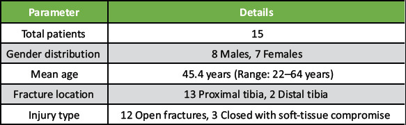 Low Profile, High Impact: External Fixation using Locking Plates in Challenging Tibial Fractures.